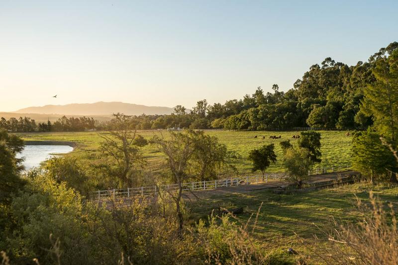 7 Bedroom Property for Sale in Wellington Open Space Western Cape